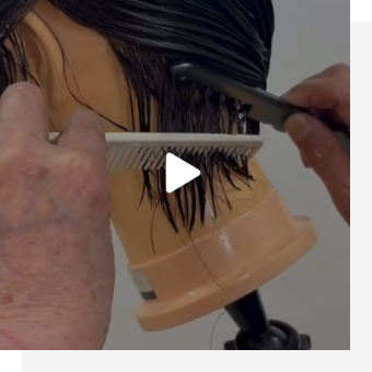 ネープの切り方